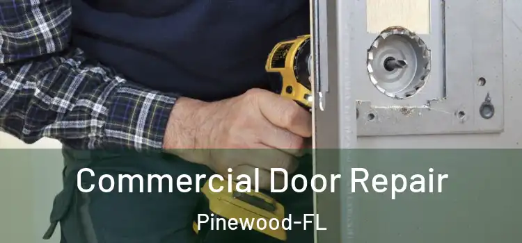 Commercial Door Repair Pinewood-FL