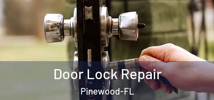 Door Lock Repair Pinewood-FL
