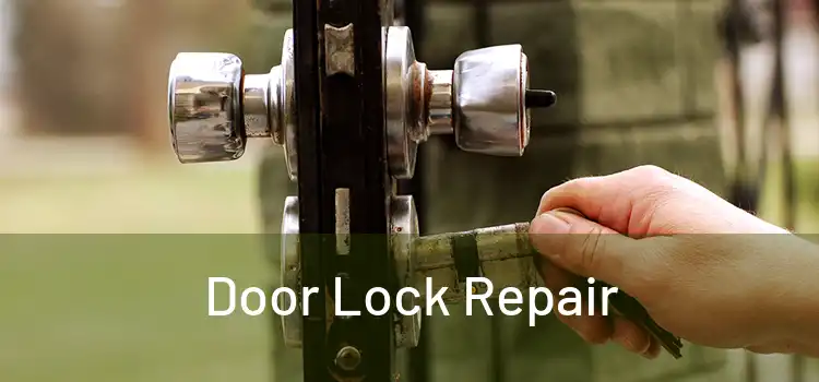 Door Lock Repair