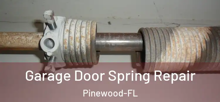 Garage Door Spring Repair Pinewood-FL