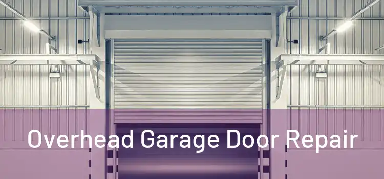 Overhead Garage Door Repair