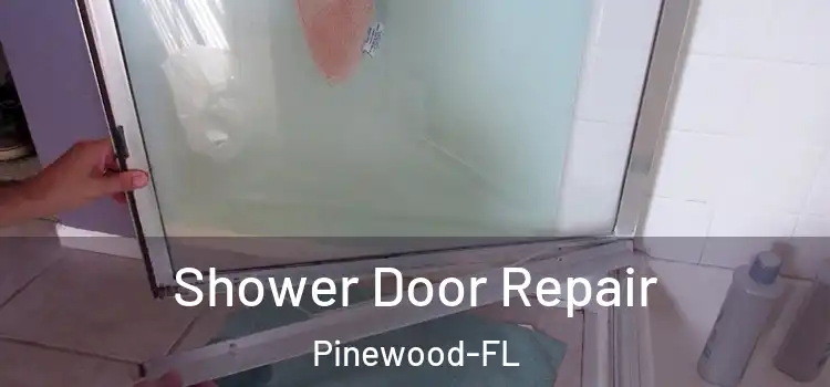 Shower Door Repair Pinewood-FL