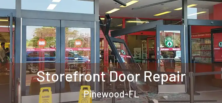 Storefront Door Repair Pinewood-FL